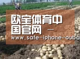 种植基地八