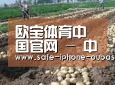 种植基地七(图1)
