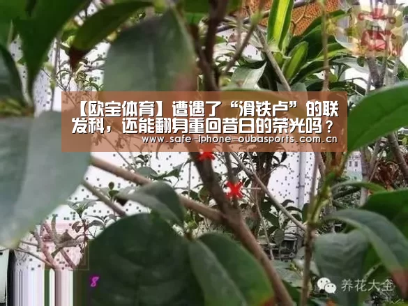 欧宝体育